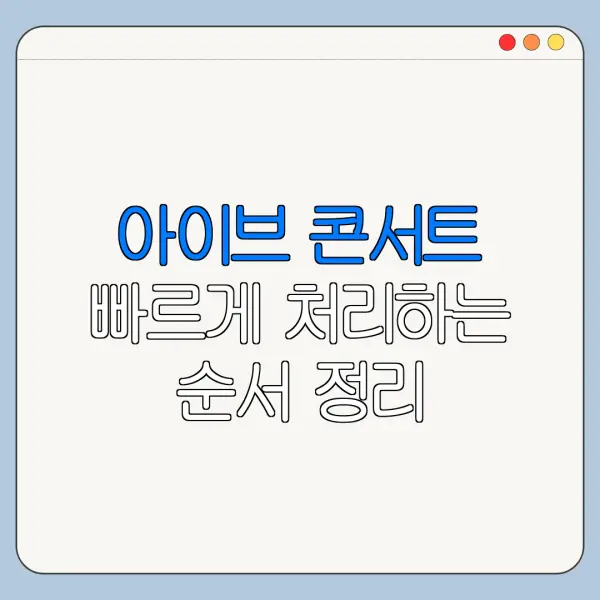 아이브 콘서트 빠르게 처리하는 순서 정리